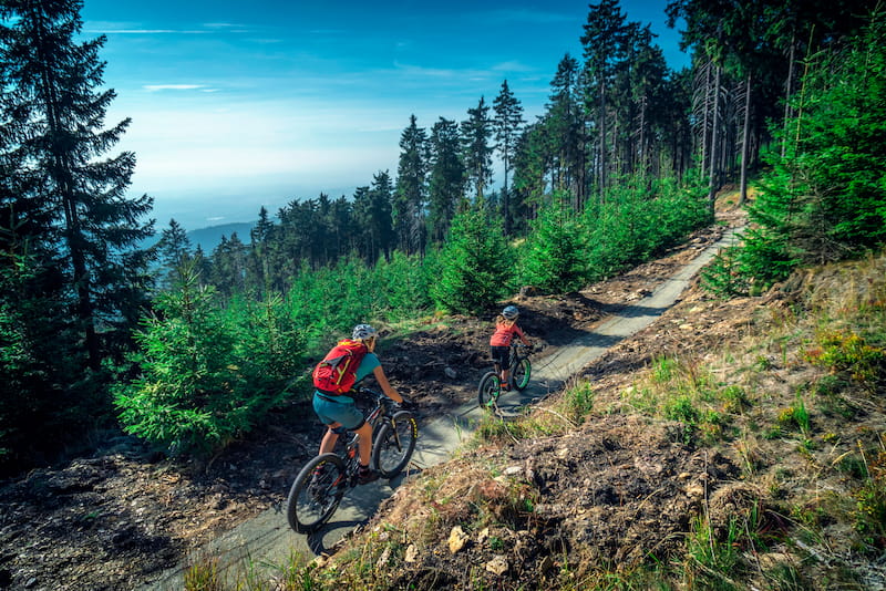 Krušnohorská magistrála