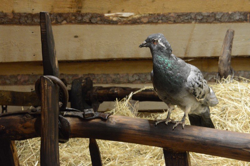 Interaktivní muzeum Švýcárna Slatiňany