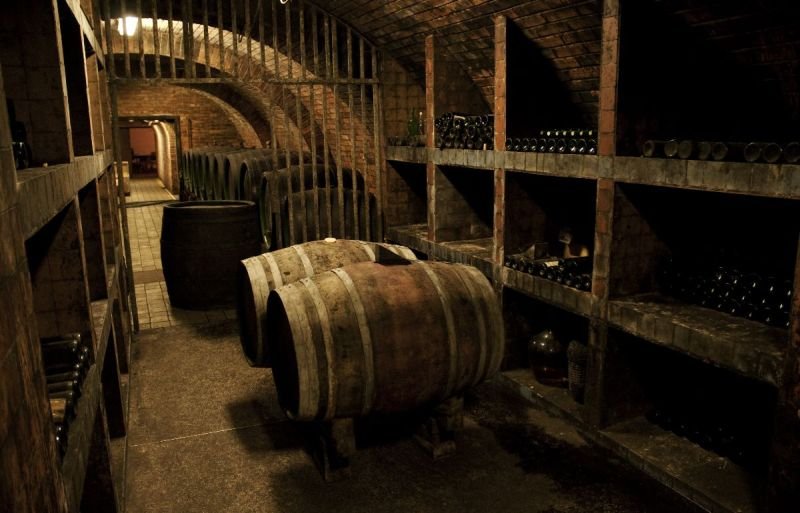 Výzkumná stanice vinohradnická, s.r.o.