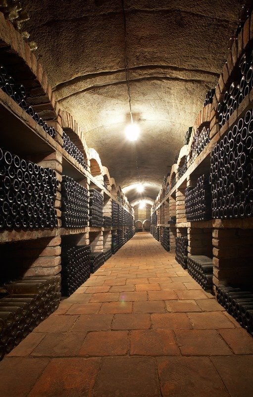 Degustační sklep Vino Hort