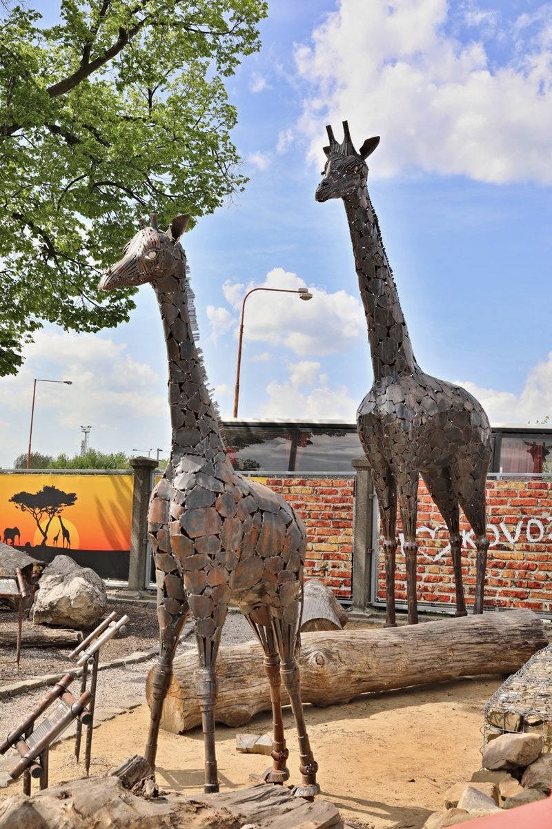 Kovozoo Staré Město