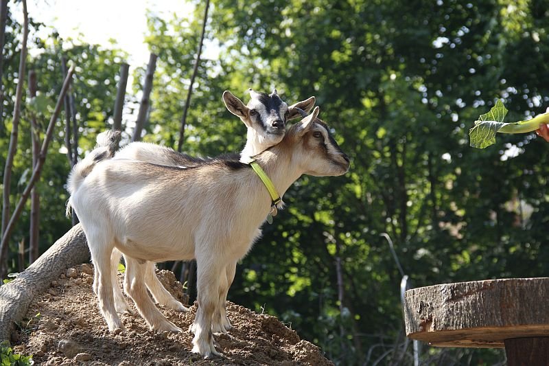 EKOPark s ubytováním****