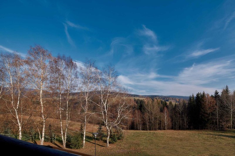 Wellness Hotel Říčky - restaurace