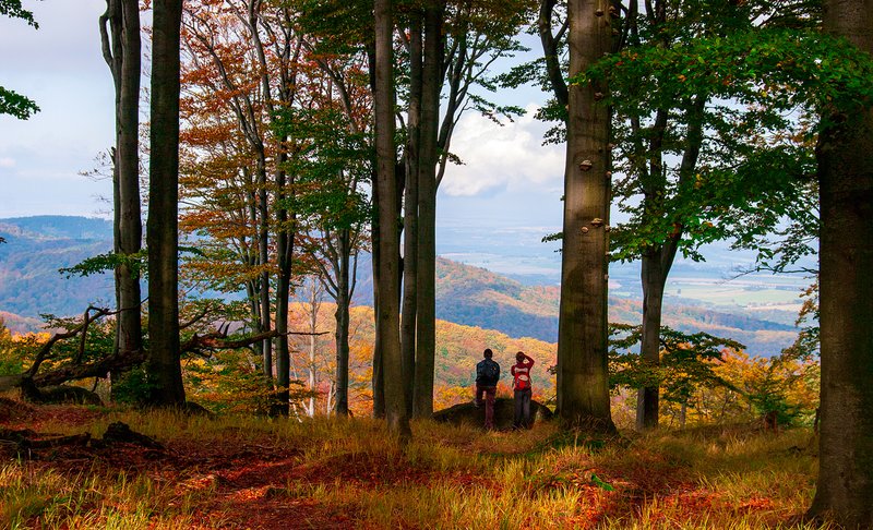 Potkávárna u Havrana - restaurace