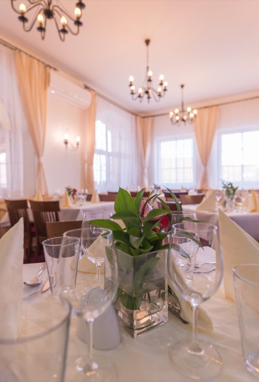 Restaurace Wellness Hotelu IRIS