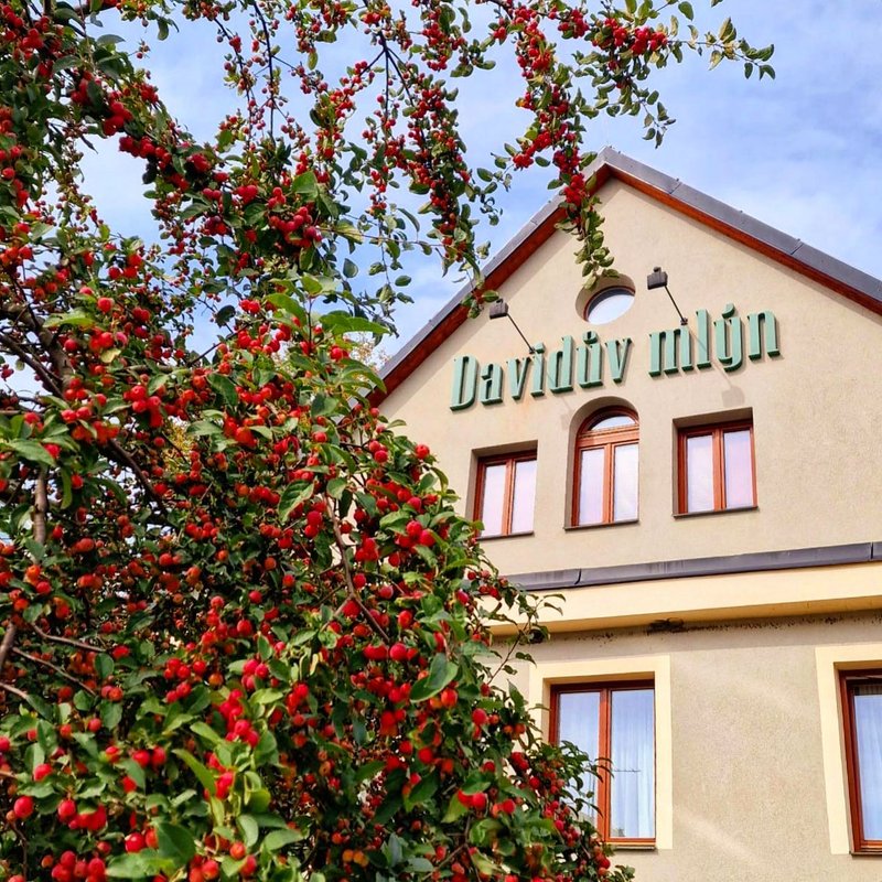 Davidův mlýn - ubytování