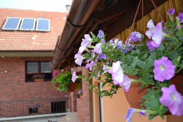 Penzion Vinařský dvorek